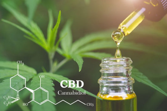 7 Sachen, die du über CBD wissen solltest, bevor du es ausprobierst