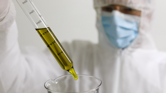 Thomas Marisch in Schutzkleidung im Labor, Messpipette mit goldenem CBD-Öl über einem Becherglas